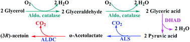 Graphical abstract: An artificial enzymatic reaction cascade for a cell-free bio-system based on glycerol