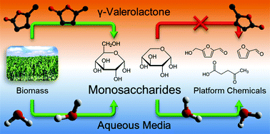 Graphical abstract: Effects of γ-valerolactone in hydrolysis of lignocellulosic biomass to monosaccharides