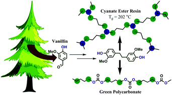 Graphical abstract: Renewable thermosetting resins and thermoplastics from vanillin