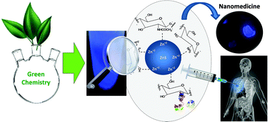 Graphical abstract: Beyond biocompatibility: an approach for the synthesis of ZnS quantum dot-chitosan nano-immunoconjugates for cancer diagnosis