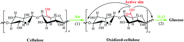 Graphical abstract: Depolymerization of cellulose to glucose by oxidation–hydrolysis