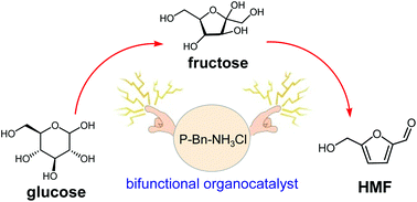 Graphical abstract: An enzyme mimic ammonium polymer as a single catalyst for glucose dehydration to 5-hydroxymethylfurfural