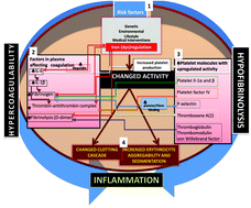 Graphical abstract: The simultaneous occurrence of both hypercoagulability and hypofibrinolysis in blood and serum during systemic inflammation, and the roles of iron and fibrin(ogen)