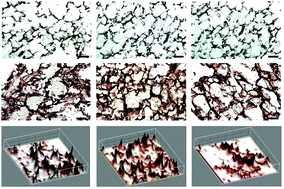 Graphical abstract: Silk fibroin–keratin based 3D scaffolds as a dermal substitute for skin tissue engineering