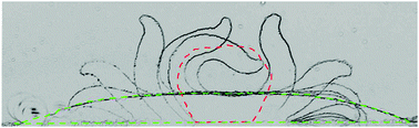 Graphical abstract: Magnetic engineering of stable rod-shaped stem cell aggregates: circumventing the pitfall of self-bending