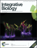 Graphical abstract: Front cover