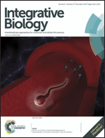 Graphical abstract: Front cover