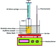 Graphical abstract: Salt saturated single drop microextraction of gold from water samples and its determination by graphite furnace atomic absorption spectrometry