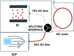 Graphical abstract: Speciation of organometals using a synchronizing GC-EIMS and GC-ICPMS system for simultaneous detection