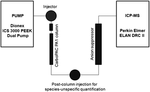 Graphical abstract: Speciation analysis of sugar phosphates via anion exchange chromatography combined with inductively coupled plasma dynamic reaction cell mass spectrometry – optimization for the analysis of yeast cell extracts