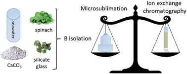 Graphical abstract: Comparison of microsublimation and ion exchange chromatography for boron isolation preceding its isotopic analysis via multi-collector ICP-MS