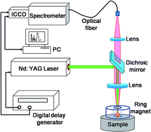 Graphical abstract: Sensitivity improvement in the detection of V and Mn elements in steel using laser-induced breakdown spectroscopy with ring-magnet confinement