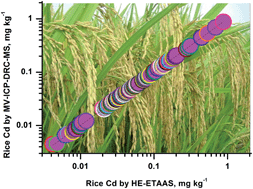 Graphical abstract: Rice cadmium monitoring using heat-extraction electrothermal atomic absorption spectrometry