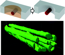 Graphical abstract: Formation of elongated fascicle-inspired 3D tissues consisting of high-density, aligned cells using sacrificial outer molding