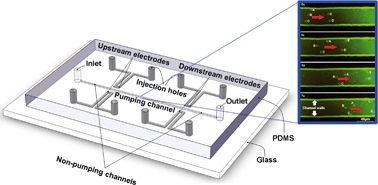 Graphical abstract: A handy liquid metal based electroosmotic flow pump