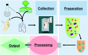 Graphical abstract: Elevating sampling