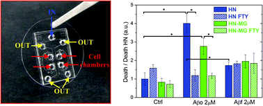 Graphical abstract: Testing Aβ toxicity on primary CNS cultures using drug-screening microfluidic chips