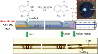 Graphical abstract: An in-fiber integrated optofluidic device based on an optical fiber with an inner core