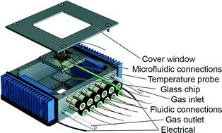 Graphical abstract: Microtiter plate-sized standalone chip holder for microenvironmental physiological control in gas-impermeable microfluidic devices