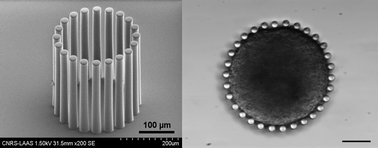 Graphical abstract: Microdevice arrays of high aspect ratio poly(dimethylsiloxane) pillars for the investigation of multicellular tumour spheroid mechanical properties