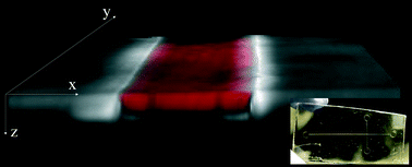 Graphical abstract: Solvent immersion imprint lithography