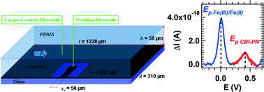 Graphical abstract: Improved electrochemical detection of a transthyretin synthetic peptide in the nanomolar range with a two-electrode system integrated in a glass/PDMS microchip