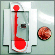 Graphical abstract: Rapid, low-cost and instrument-free CD4+ cell counting for HIV diagnostics in resource-poor settings