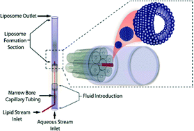 Graphical abstract: A facile route to the synthesis of monodisperse nanoscale liposomes using 3D microfluidic hydrodynamic focusing in a concentric capillary array