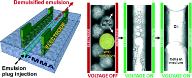 Graphical abstract: An electro-coalescence chip for effective emulsion breaking in droplet microfluidics