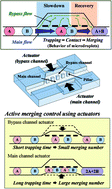 Graphical abstract: Active microdroplet merging by hydrodynamic flow control using a pneumatic actuator-assisted pillar structure