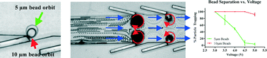 Graphical abstract: Cavity-induced microstreaming for simultaneous on-chip pumping and size-based separation of cells and particles