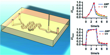 Graphical abstract: Delayed voltammetric with respect to amperometric electrochemical detection of concentration changes in microchannels