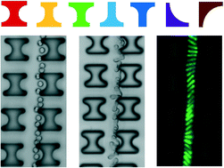 Graphical abstract: DLD pillar shape design for efficient separation of spherical and non-spherical bioparticles