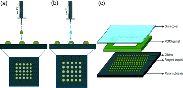 Graphical abstract: A novel picoliter droplet array for parallel real-time polymerase chain reaction based on double-inkjet printing