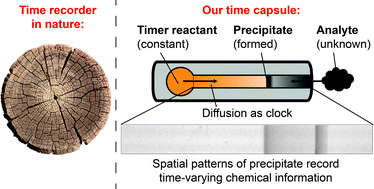 Graphical abstract: Time capsule: an autonomous sensor and recorder based on diffusion–reaction