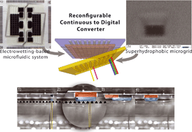 Graphical abstract: Split and flow: reconfigurable capillary connection for digital microfluidic devices