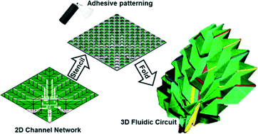 Graphical abstract: Patterned adhesive enables construction of nonplanar three-dimensional paper microfluidic circuits
