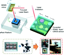 Graphical abstract: Microfluidic-integrated laser-controlled microactuators with on-chip microscopy imaging functionality