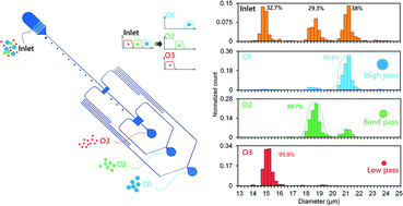 Graphical abstract: Size-based microfluidic multimodal microparticle sorter