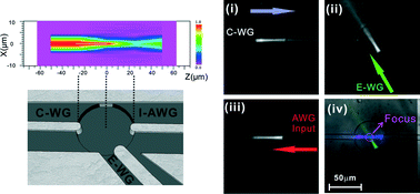 Graphical abstract: An integrated microspectrometer for localised multiplexing measurements