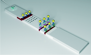 Graphical abstract: Improving sensitivity of gold nanoparticle-based lateral flow assays by using wax-printed pillars as delay barriers of microfluidics