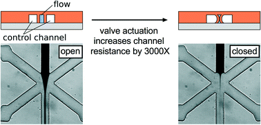 Graphical abstract: Rapid modulation of droplet composition with pincer microvalves