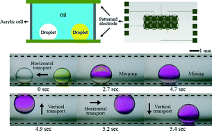 Graphical abstract: Detaching droplets in immiscible fluids from a solid substrate with the help of electrowetting