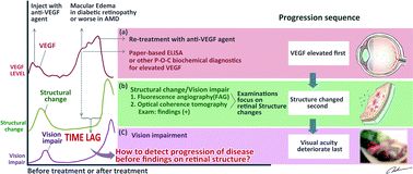 Graphical abstract: Monitoring VEGF levels with low-volume sampling in major vision-threatening diseases: age-related macular degeneration and diabetic retinopathy