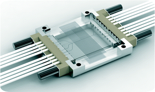 Graphical abstract: A monolithic glass chip for active single-cell sorting based on mechanical phenotyping