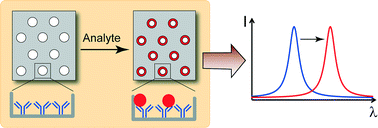 Graphical abstract: Two-dimensional photonic crystals for sensitive microscale chemical and biochemical sensing