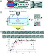 Graphical abstract: Enhancing and suppressing effects of an inner droplet on deformation of a double emulsion droplet under shear