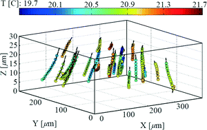 Graphical abstract: Simultaneous three-dimensional temperature and velocity field measurements using astigmatic imaging of non-encapsulated thermo-liquid crystal (TLC) particles