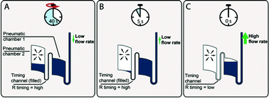 Graphical abstract: A microfluidic timer for timed valving and pumping in centrifugal microfluidics