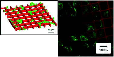 Graphical abstract: Regenerating the cell resistance of micromolded PEG hydrogels